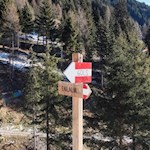 Hinter der letzten Mühle zweigt der Weg in Richtung Gols ab