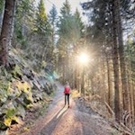 Durch den lichtdurchfluteten Wald nach Maria Weißenstein
