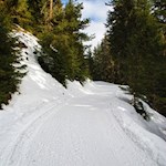Durch den knirschenden Schnee zur Taistner Alm