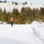 Auf dem Rückweg nach Herol