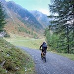 Der breite Wanderweg zum Klaussee ist auch bei Radfahrern beliebt