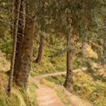 Auf sanften Pfaden um den Antholzer See