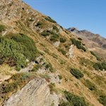 Von der Grohmannhütte führt der Weg Nr. 9 nach Maiern zurück