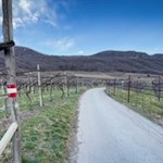 Sanft schlängelt sich der Wanderweg zurück zum Kalterer See