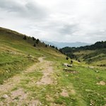 Über das freie Almgelände zu den Stoanernen Mandln