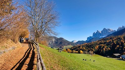 First we follow the Bergbauernweg