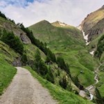 Im sanften Anstieg in Richtung Brixner Hütte