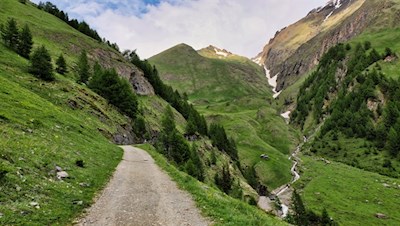 Im sanften Anstieg in Richtung Brixner Hütte