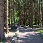 Auf sanften Wegen von Wasserfall zu Wasserfall