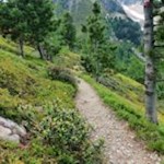 Die Wanderweg Nr. 2 führt zunächst durch den Wald