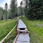 Bretterstege geleiten trockenen Fußes über moorige Abschnitte