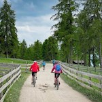Auch Mountainbiker sind auf dem Salten anzutreffen