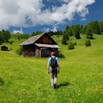 Durch ein leuchtendes Blumenmeer zur Vaciara Hütte