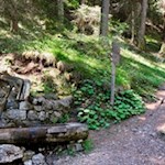 Erfrischung am Wegesrand