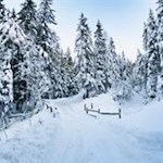 Durch die stille, tiefverschneite Winterlandschaft zur Brunstalm