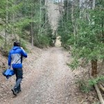 Durch den Wald nach Maria Saalen