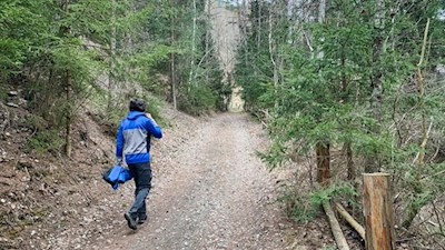 Durch den Wald nach Maria Saalen