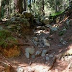 Der steinbeschlagene Waldpfad Nr. 14