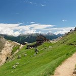 Die Rotwandhütte liegt in einer idyllischen Berglandschaft