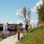 Von der Bergstation führt der Karnische Höhenweg zur Sillianer Hütte