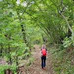 Durch lichten Mischwald nach St. Hippolyt