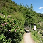 "Frühling lässt sein blaues Band / wieder flattern durch die Lüfte..." (Mörike)