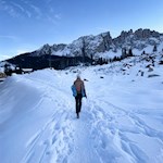 Vor der Kulisse des Latemar in Richtung Latemarwiesen