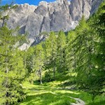 On climbs surrounded by mountains and woods to the Passo Gardena Pass