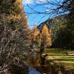 "Natur ist das große Bilderbuch, das der liebe Gott uns draußen aufgeschlagen hat" (J. von Eichendorff) 
