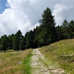 Durch blühende Almwiesen zur Radlseehütte