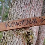 Der Anstieg zur Kiener Alm ist gut ausgeschildert