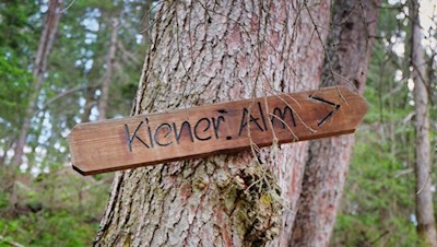 Der Anstieg zur Kiener Alm ist gut ausgeschildert