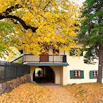 Escursione autunnale da Soprabolzano a S. Maria Assunta