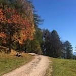 Längs des Weges laden zahlreiche Bänke zum Verweilen ein