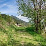 Il sentiero delle api di Campo di Trens è fiancheggiato da pannelli informativi descrittivi