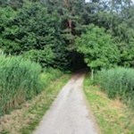 Rundwanderung im Feuchtbiotop Raier Moos