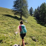 Im angenehmen Anstieg führt der Weg durch sanfte Bergwiesen