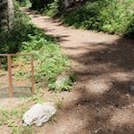 Längs des Weges regen besinnliche Bibelzitate zum Nachdenken an