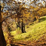 On the Sunnseitn path in val di Funes valley