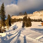 Winterwandern zum Gasthof Jolanda