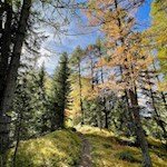 Herbstwanderung auf den Crep de Sela