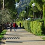 Gentle walk from Bardolino to Garda