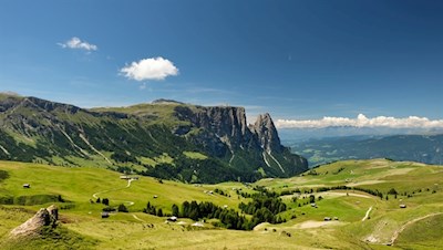 Der Rückweg führt durch die idyllischen Almwiesen der Seiser Alm