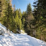 Winterliches Farbenspiel auf dem Weg zur Moserhütte