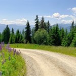 Zuletzt führt die Wanderung auf breitem Wege zur Pichlerhütte