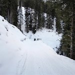 Winterwanderung zur Sattelbergalm