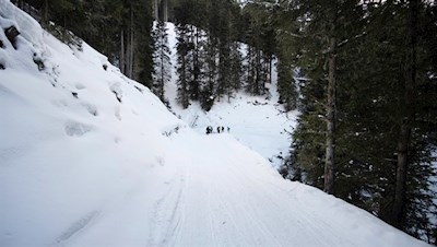 Winterwanderung zur Sattelbergalm