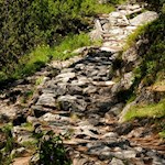 Auf dem nunmehr schmalen Weg Nr. 102 durchs Altensteintal