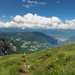 Durch artenreiche Bergwiesen in Richtung Schlernhaus