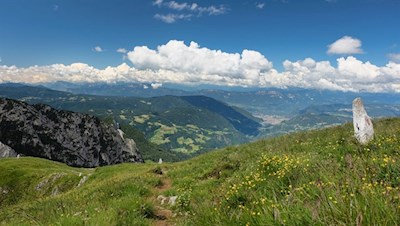 Durch artenreiche Bergwiesen in Richtung Schlernhaus
